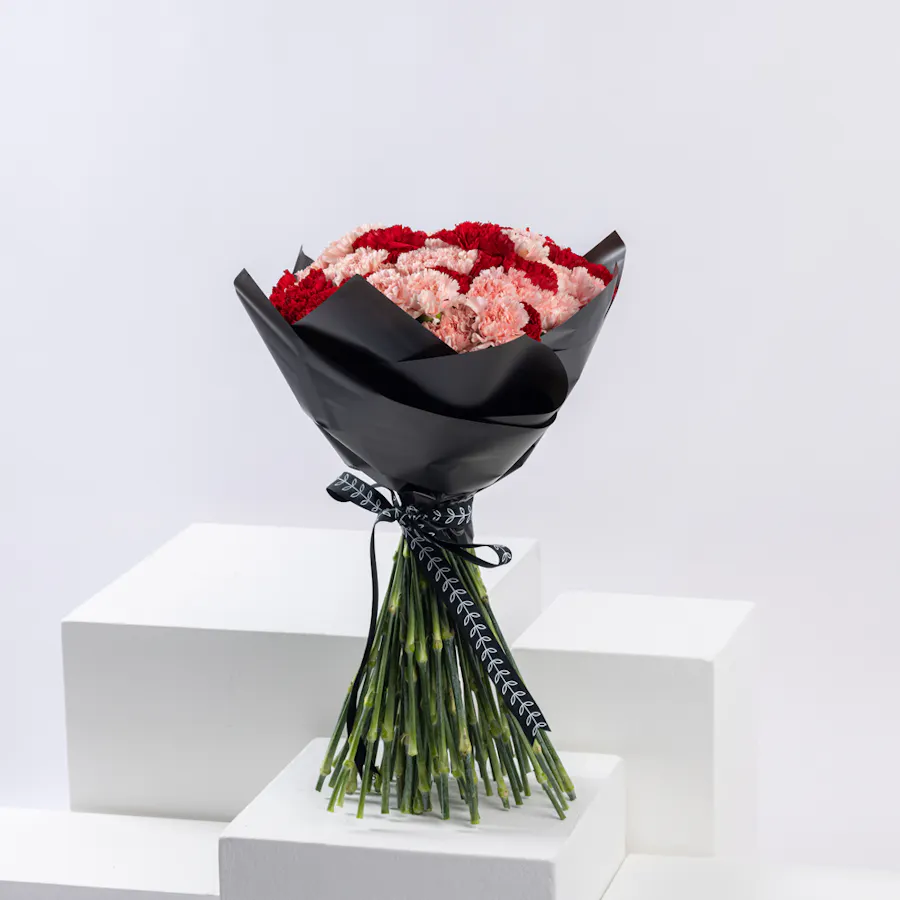 Elegant Beauty | Carnations Bouquet 1
