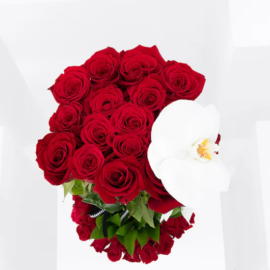 Zinnia | Roses & Orchids