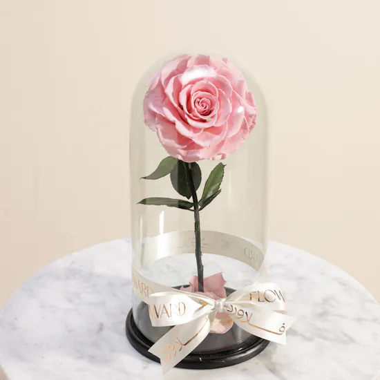 Pink Single Preserved Rose Dome