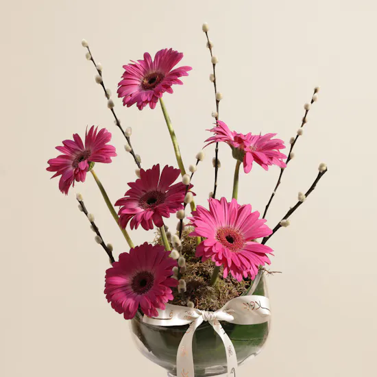 Fuchsia Gerbera Garden Flower Vase