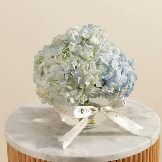 Amazing Hydrangea Vase
