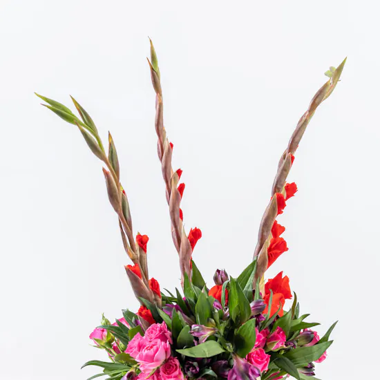 Love Song Vase