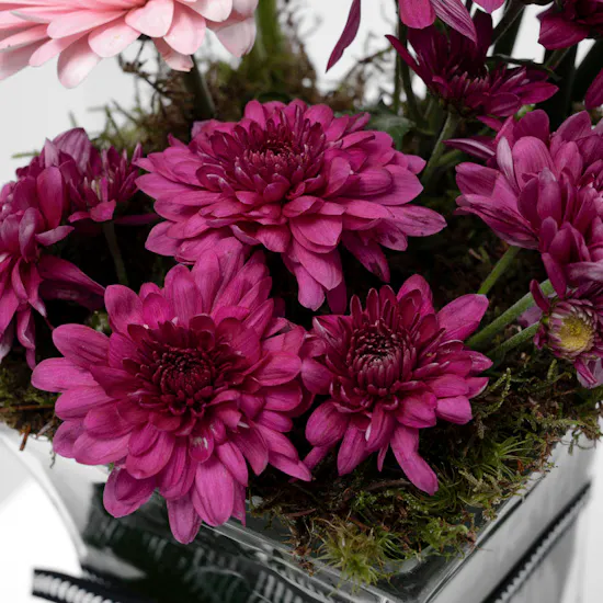 Charming Spring Vase
