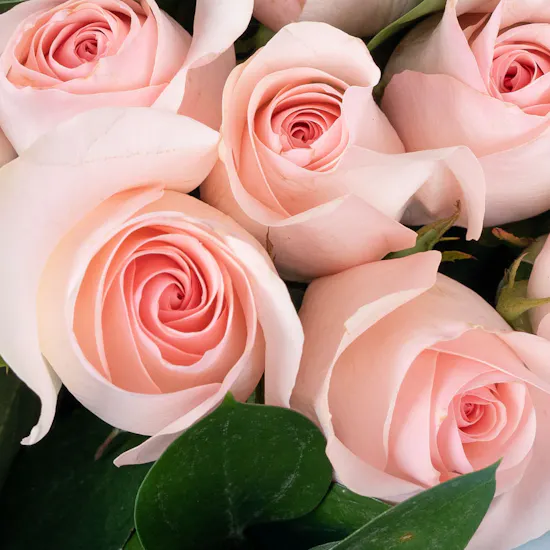 Blooming Achievement | Roses