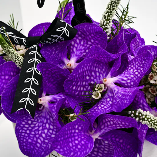 purple Graduation vase Arabic topper