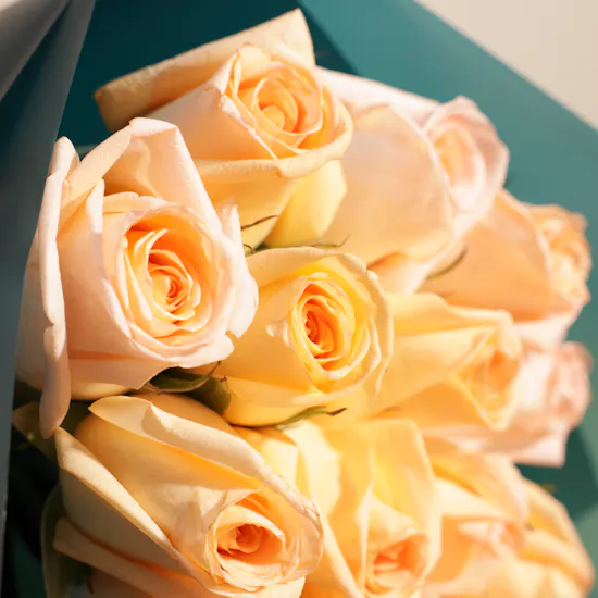 Peach Bliss Rose Bouquet
