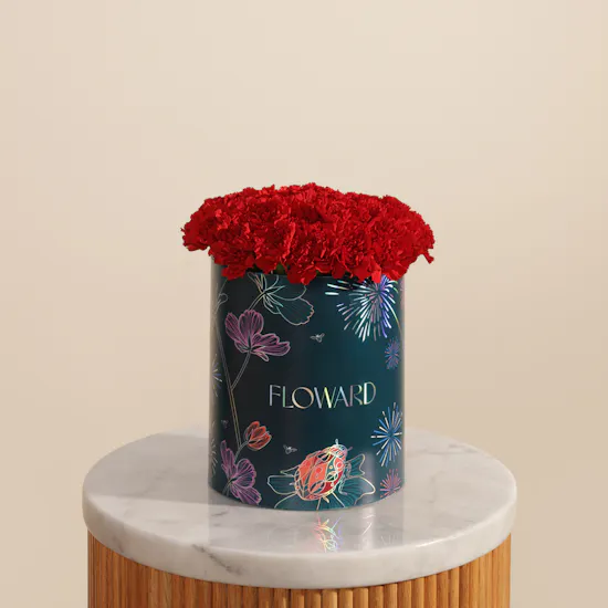 Romantic Red Carnation Box | 35 Flowers
