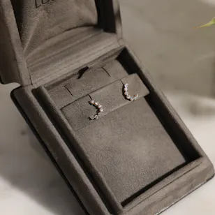 Lustro Stellarosa Curved Diamond Earrings