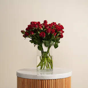 Scarlet Charm Baby Rose Vase