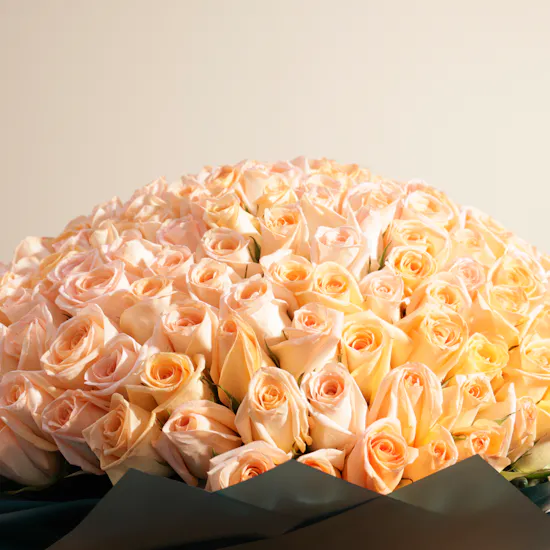 Peach Roses Bouquet | 250 Flowers
