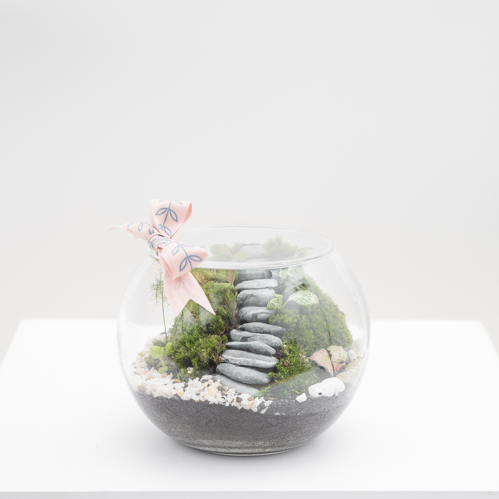 حديقة النباتات الاستوائية | تيراريوم مغلق