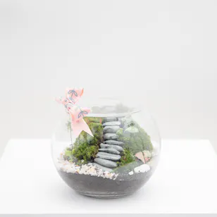 Refreshing Tropical Garden | Closed Terrarium Refreshing Tropical Garden | Closed Terrarium