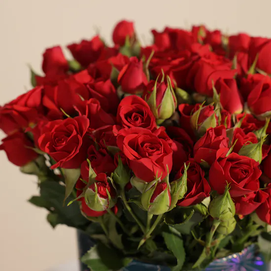 Charming Red Baby Rose Box | 25 Flowers
