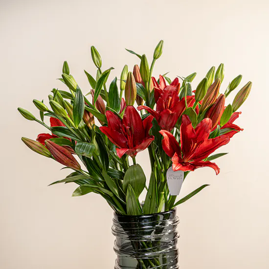 Red Lily Vase | 10 Flowers