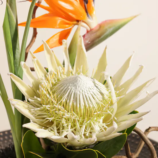 Magical Flowers Tray