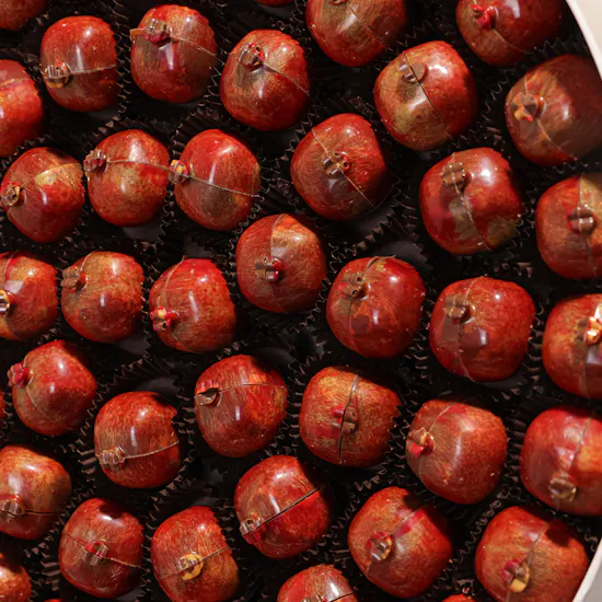 Opera Roman Chocolate Box