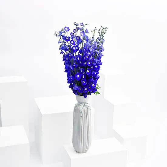 Delphiniums Vase