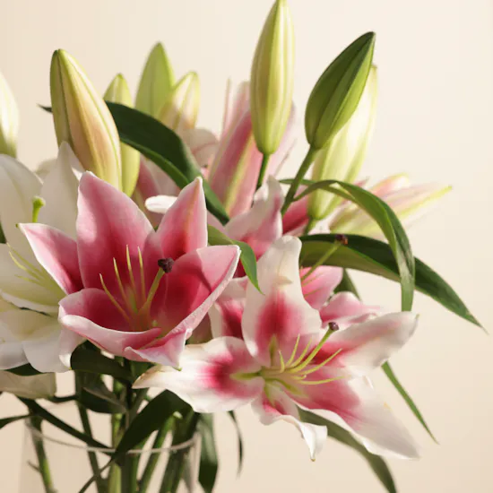 Harmonious Blend Lily Vase | 8 Flowers