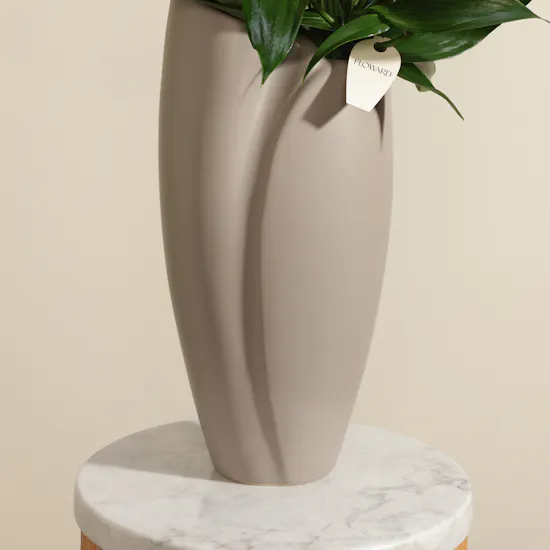 Whispering Pink Lily Vase