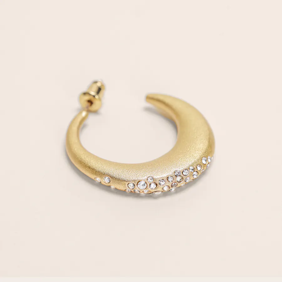 Lynyer Aurora Dust Gold-Plated Earrings  3