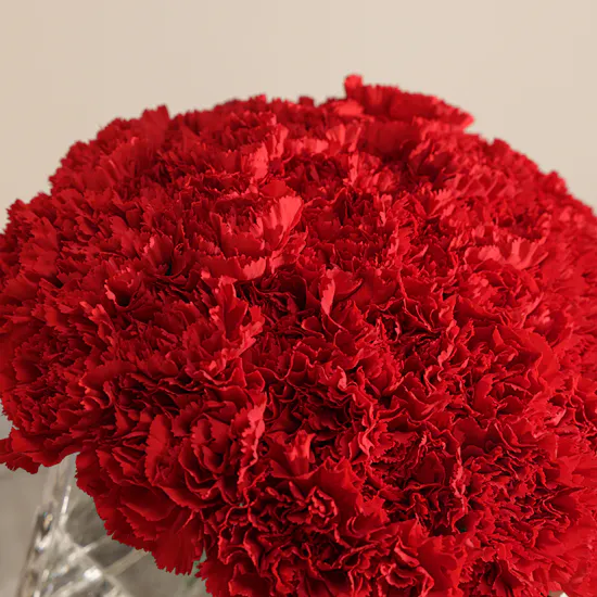Romantic Red Carnations Vase