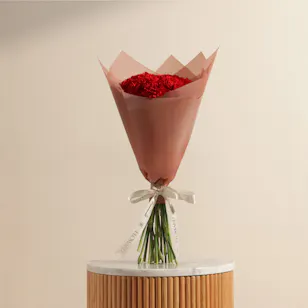 Red Carnation Blooming Bouquet | 20 Flowers Red Carnation Blooming Bouquet | 20 Flowers