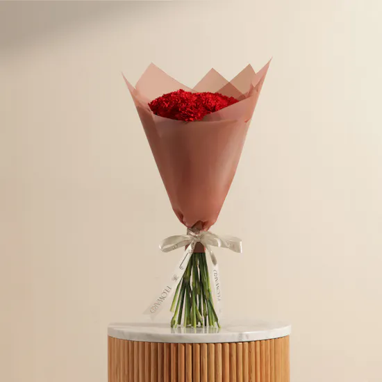 Red Carnation Blooming Bouquet | 20 Flowers
