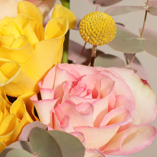 Sunlit Blush Flower Vase
