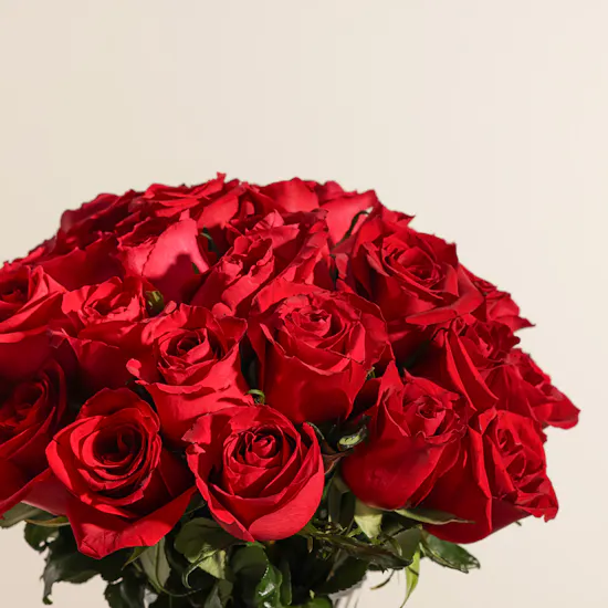 Royal Red Rose Vase