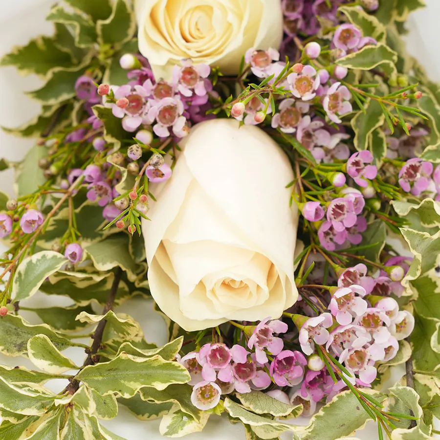 Versace Fragrance |  Delicate Roses 3