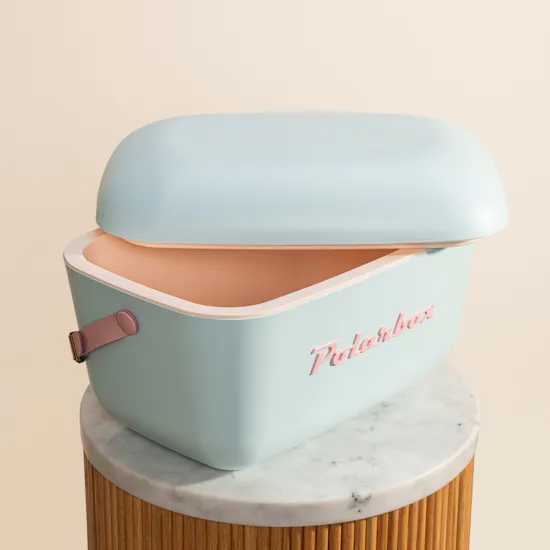 Polarbox 20 L Ice Box | Mint