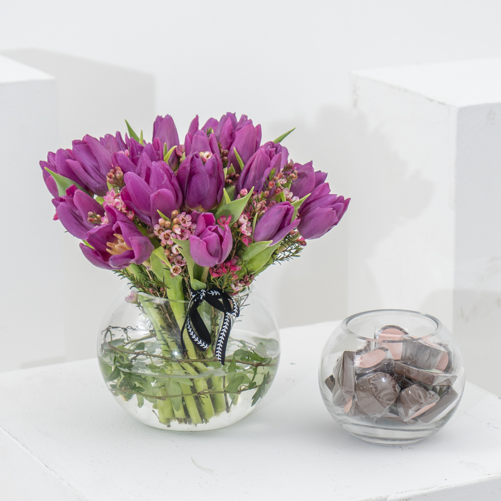 التوليب البنفسجي مع الشوكولاته