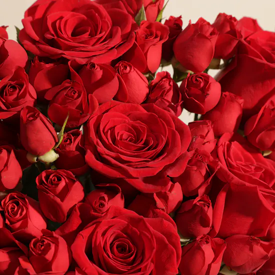 Charbonnel et Walker Heart Truffle Chocolate Box | Red Muse Flowers