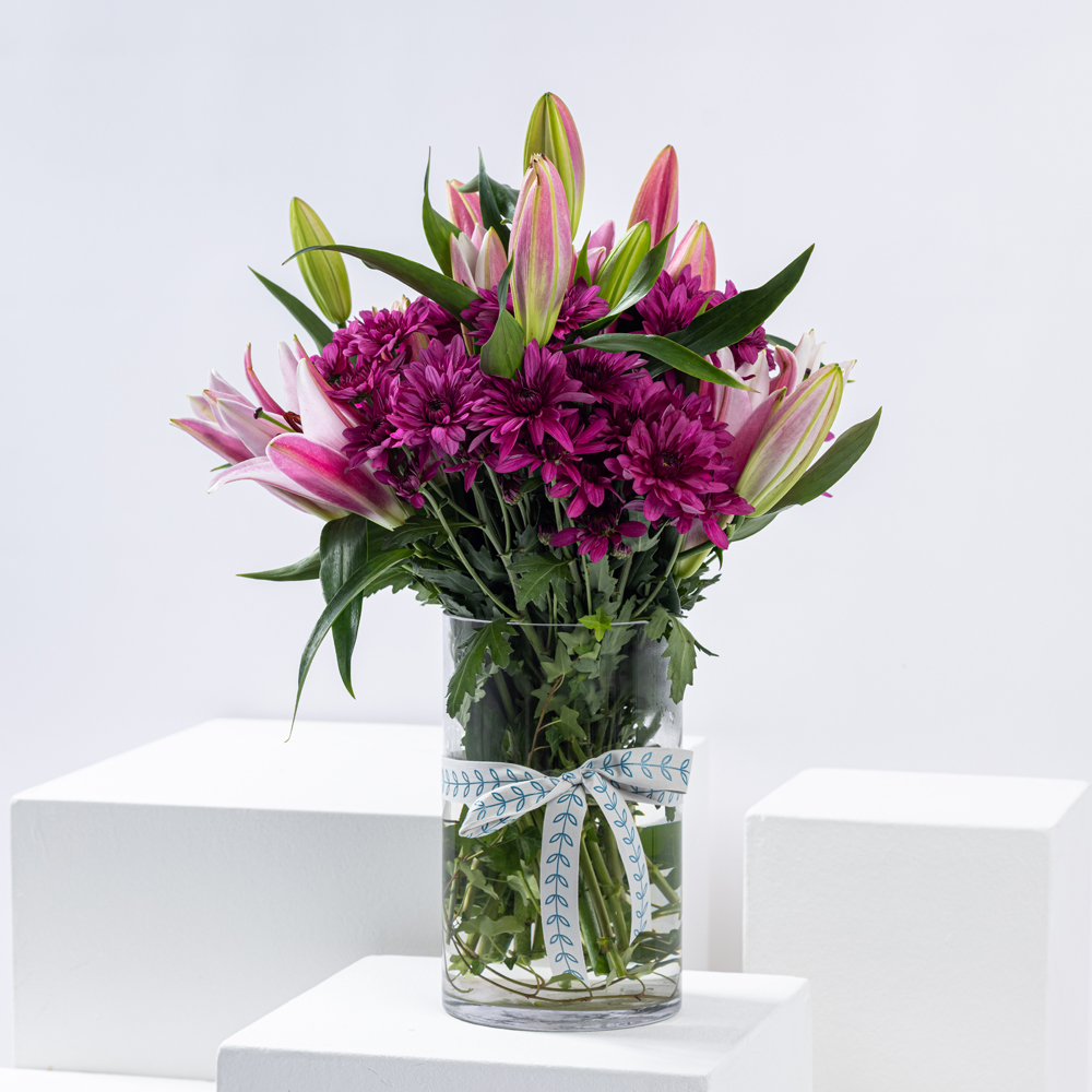 تنوع الماجنتا