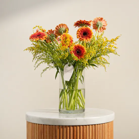 Golden Reverie Gerbera Vase