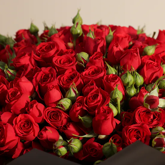 Romance Red Baby Roses Bouquet