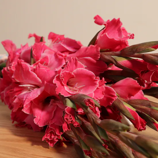 Gladiolus La Zamora | Flowers Bouquet