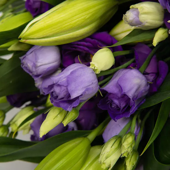 Lily & Eustoma | White Wrap