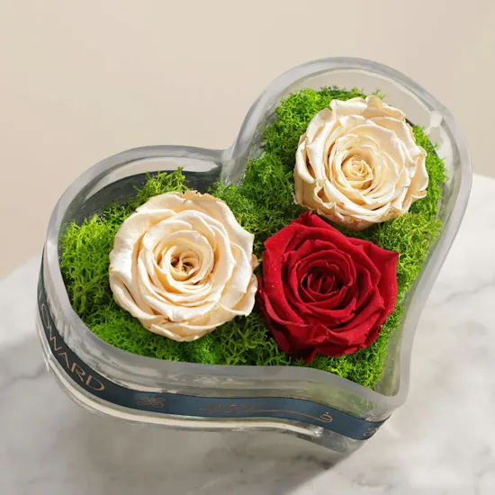 Timeless Love Preserved Rose Vase