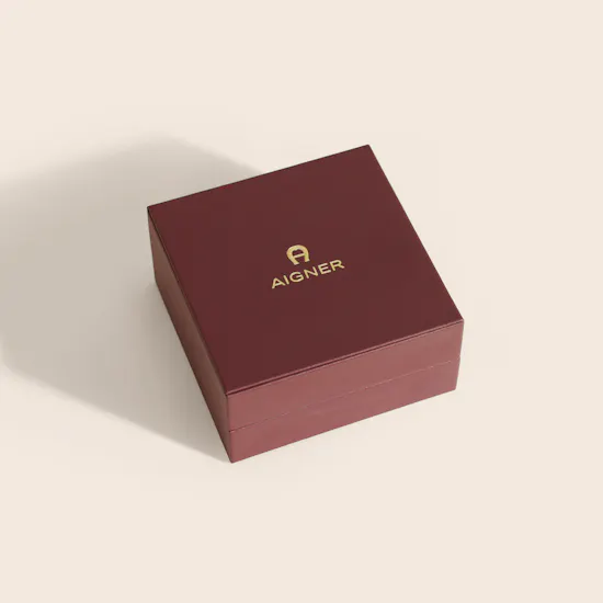 Aigner Carisa Two Tone Women’s Bracelet