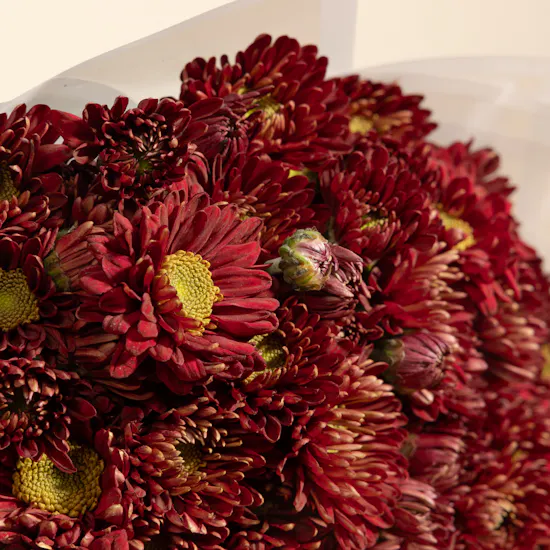 Red Flowers Bouquet | 25 Flowers