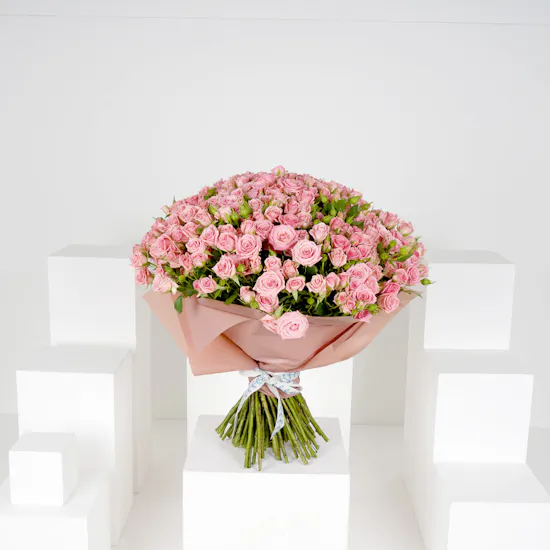 100 Pink Baby Roses V
