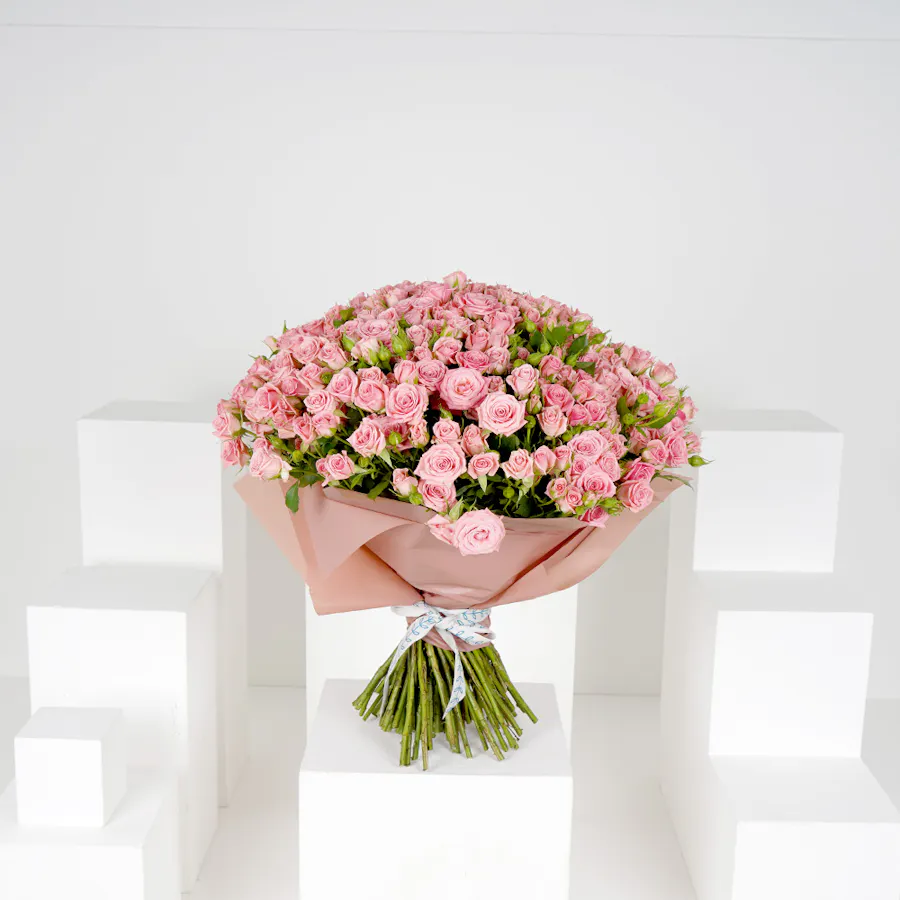 100 Pink Baby Roses V 1