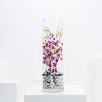 Purple Baby Orchids | Glass Vase