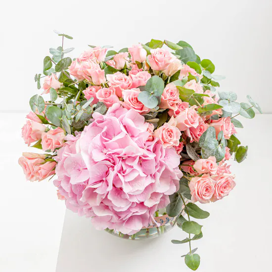 Blush Valley | 22 Flowers