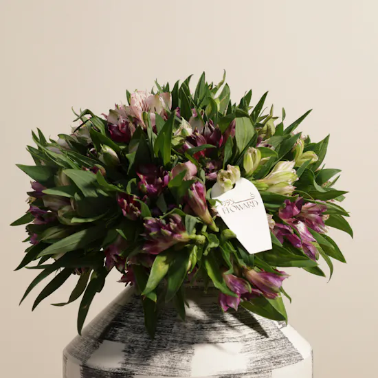 Silky Touch Alstroemeria Vase