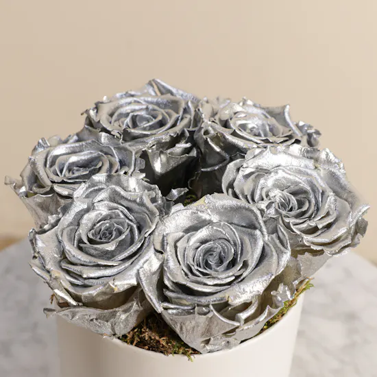 Preserved Silver Rose Box | 6 Roses