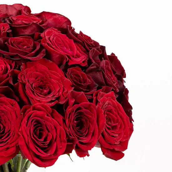 25 Red Roses Bouquet