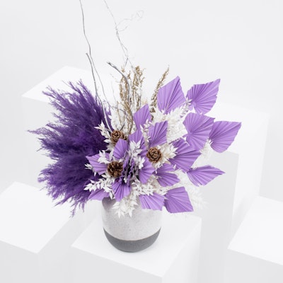 Charming Purple