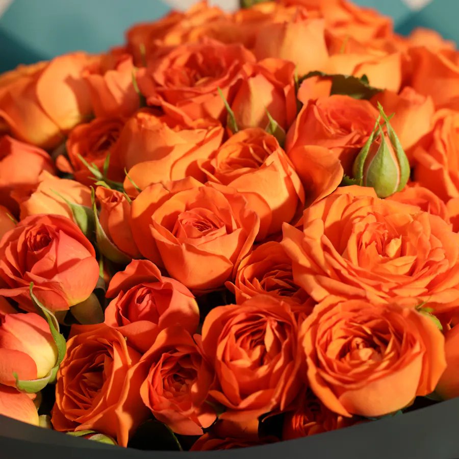 Amber Beauty Baby Rose Bouquet 2